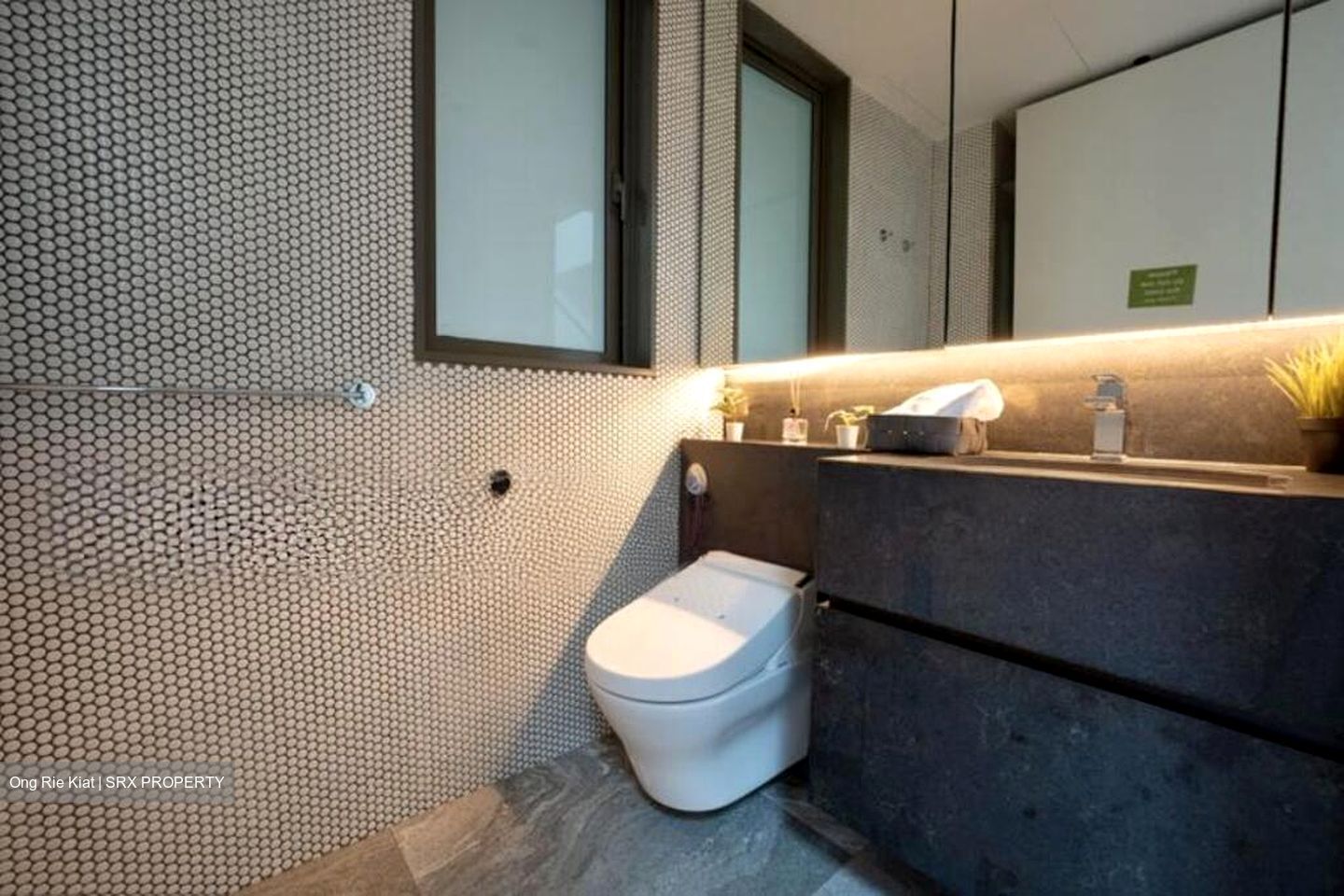 10 Evelyn (D11), Apartment #523675491